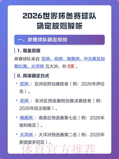 2026年世界杯各参赛球队深度解析报告